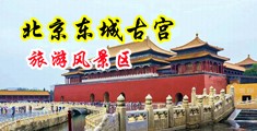 欧美性感美女啪啪啪啊啊啊草草草中国北京-东城古宫旅游风景区